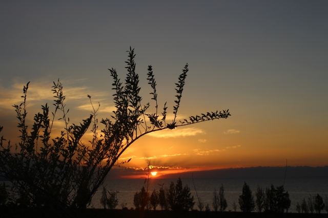 Bishkek 3