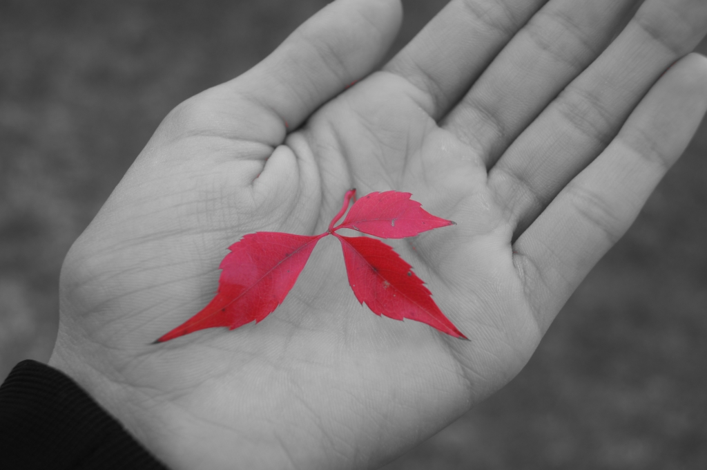 Red Autumn
