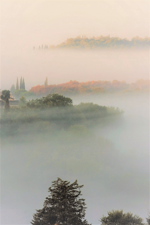 Un mondo sotto il velo di nebbia