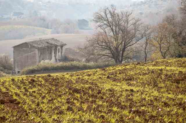 paesaggio autunnale