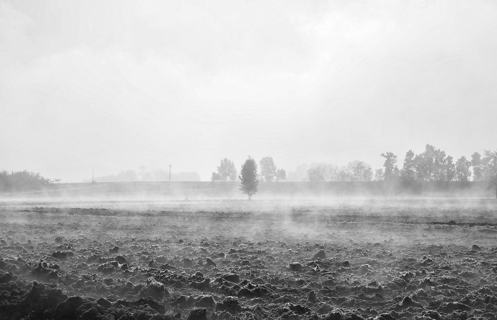 Il respiro della terra
