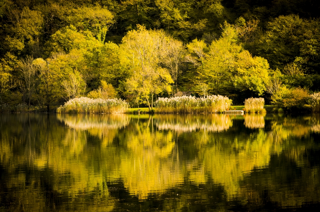 La natura si guarda allo specchio