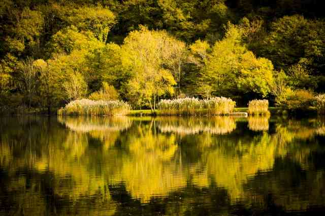 La natura si guarda allo specchio