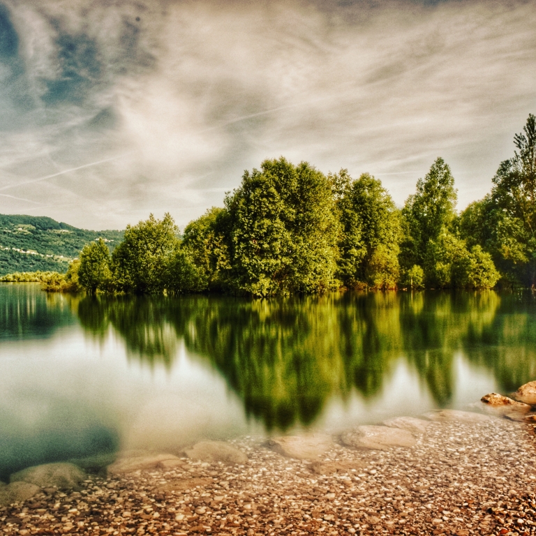 Riflessi