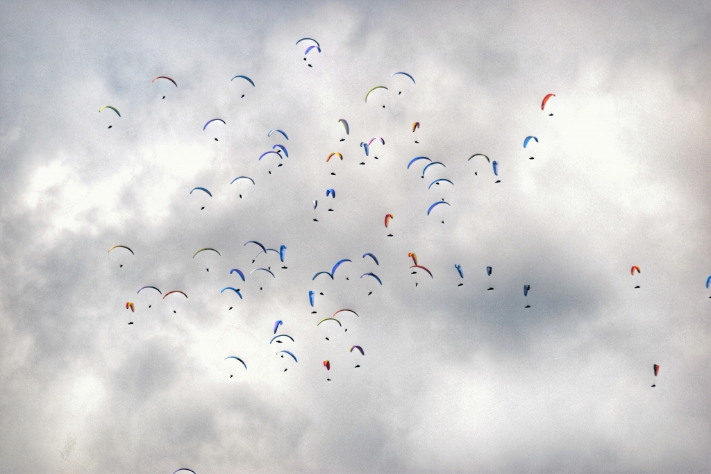 Volare