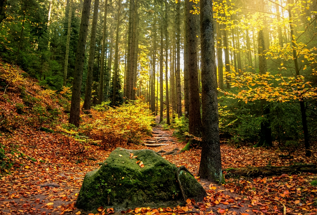 Sentiero autunnale...