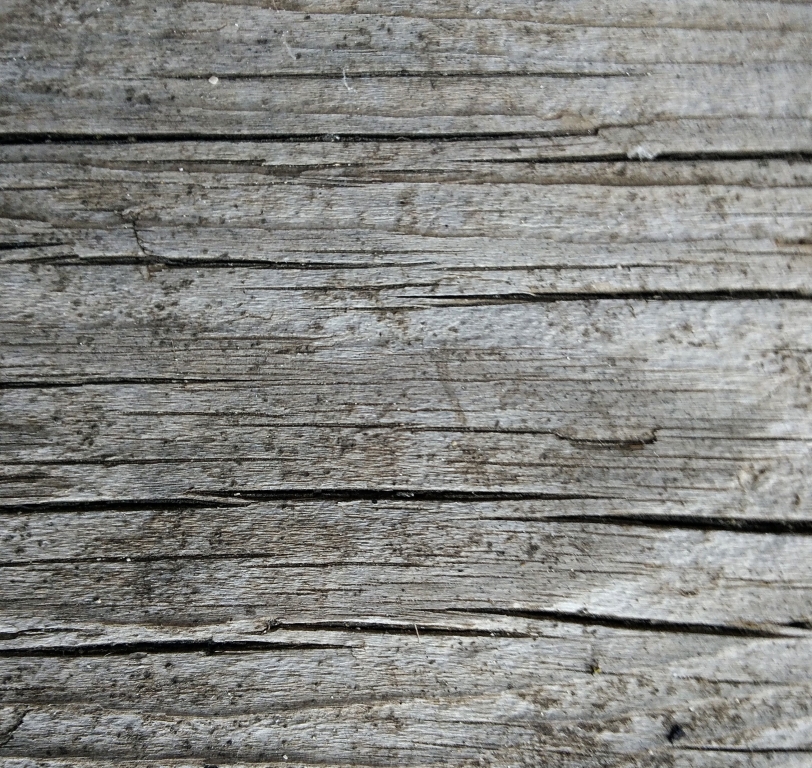 texture of wood