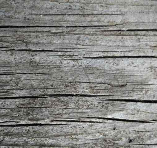 texture of wood