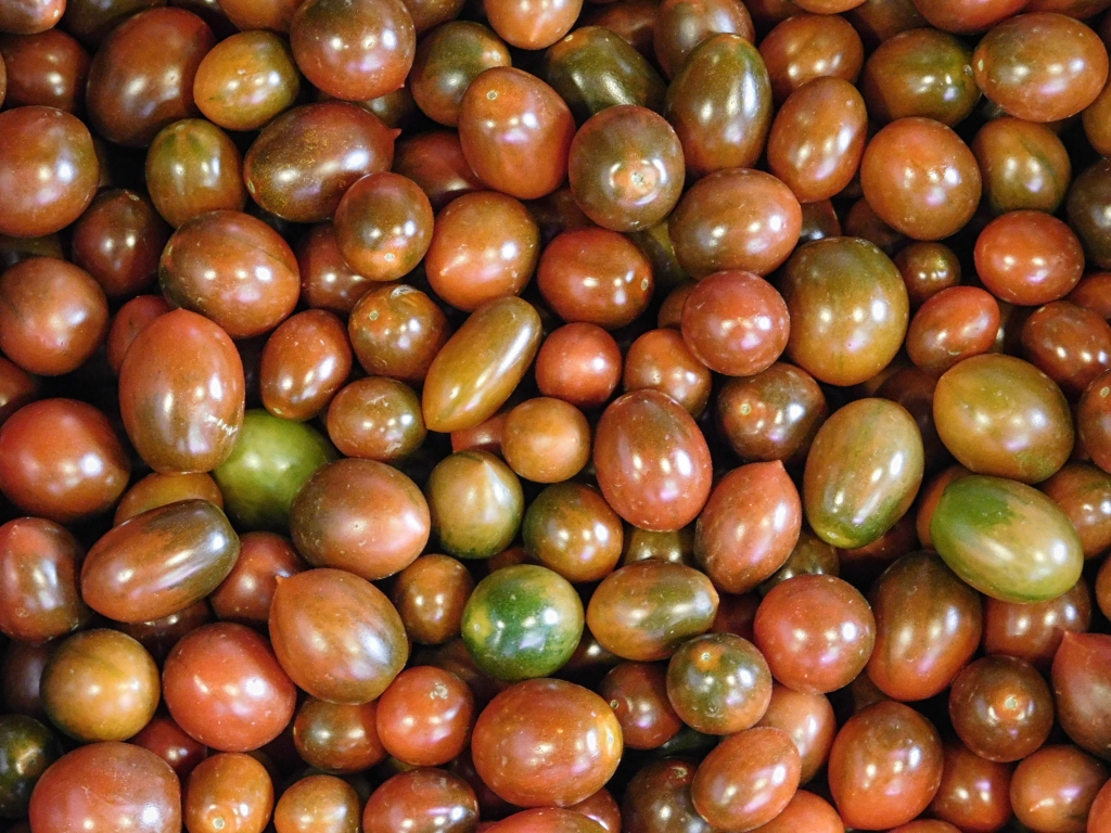 texture of tomatoes