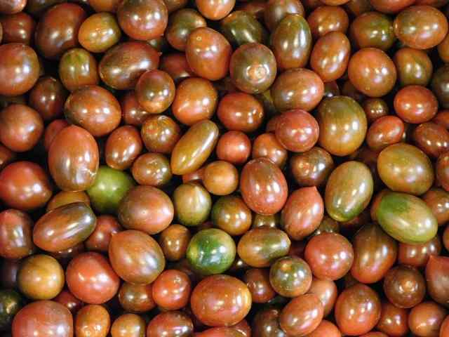 texture of tomatoes