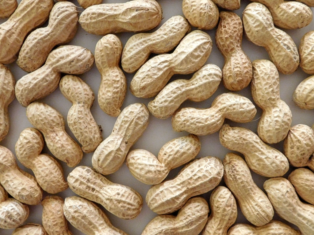 peanut texture