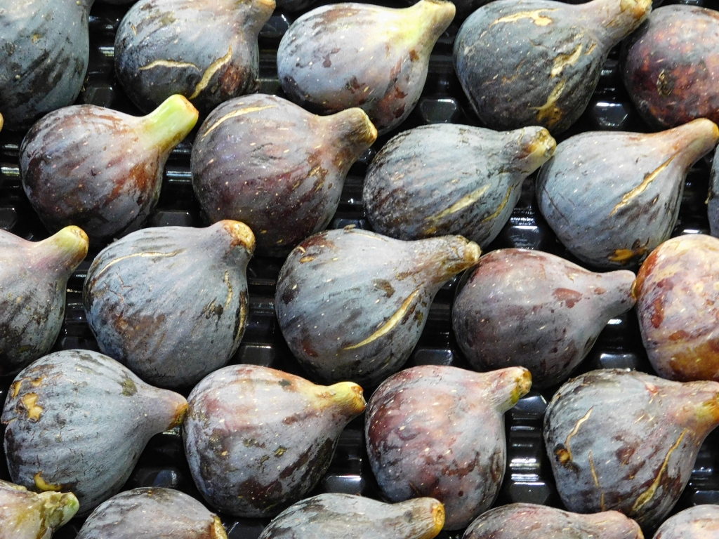 texture of figs