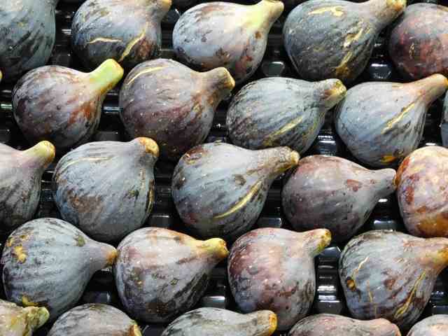 texture of figs