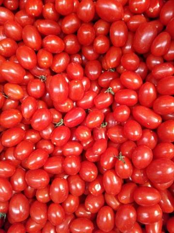 texture of tomatoes
