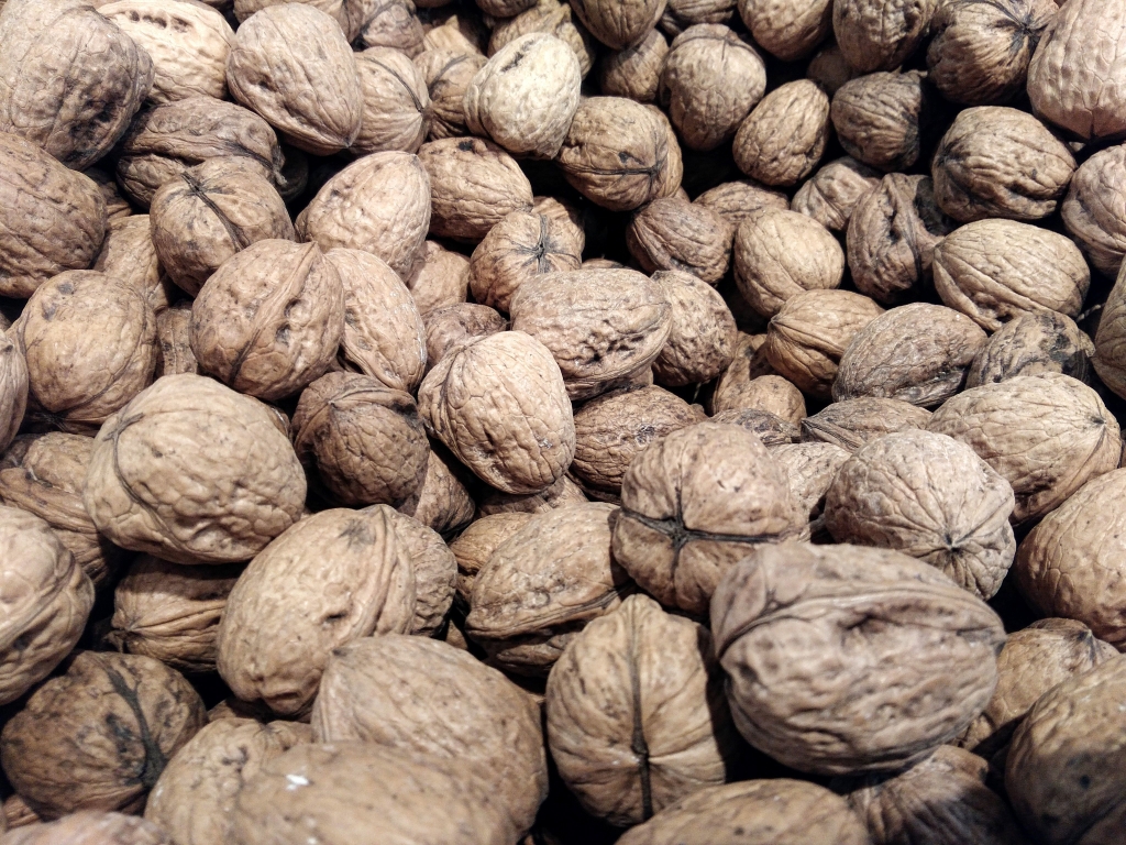 nuts texture with shell