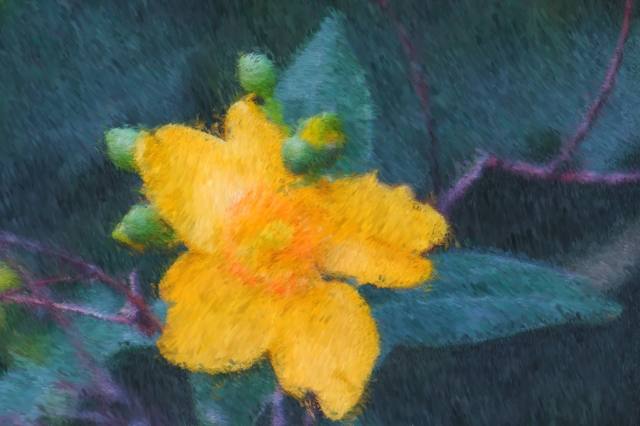 Yellow #2