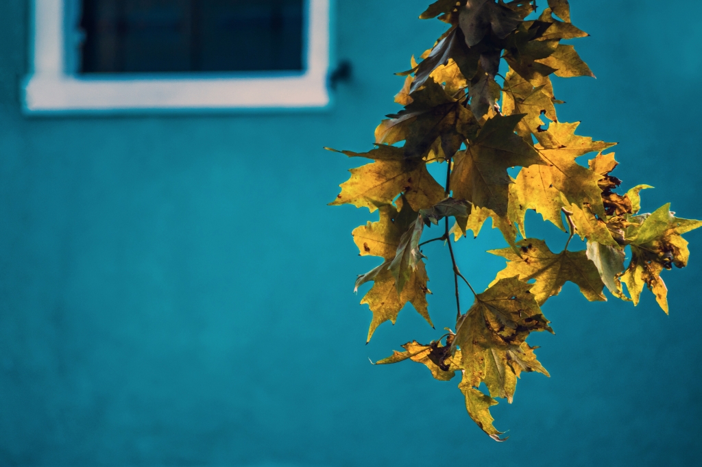 Autunno a Burano