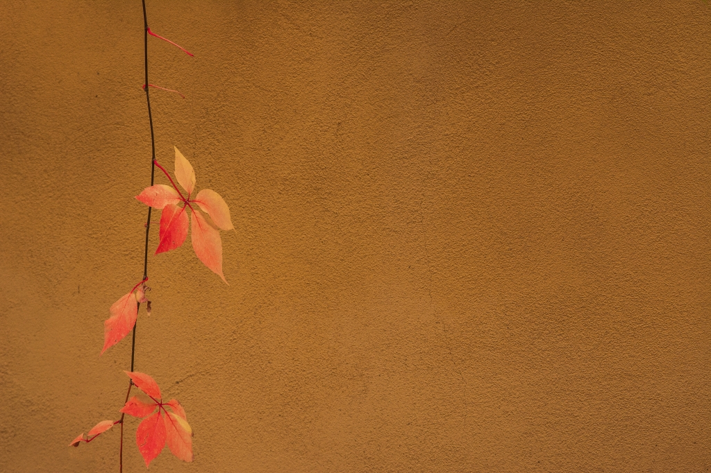 Autumn