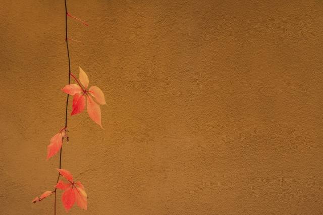 Autumn · gaetaf