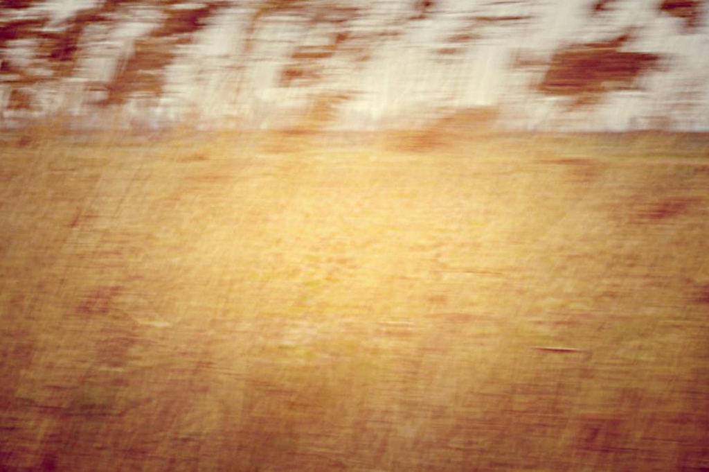 Terra di Puglia