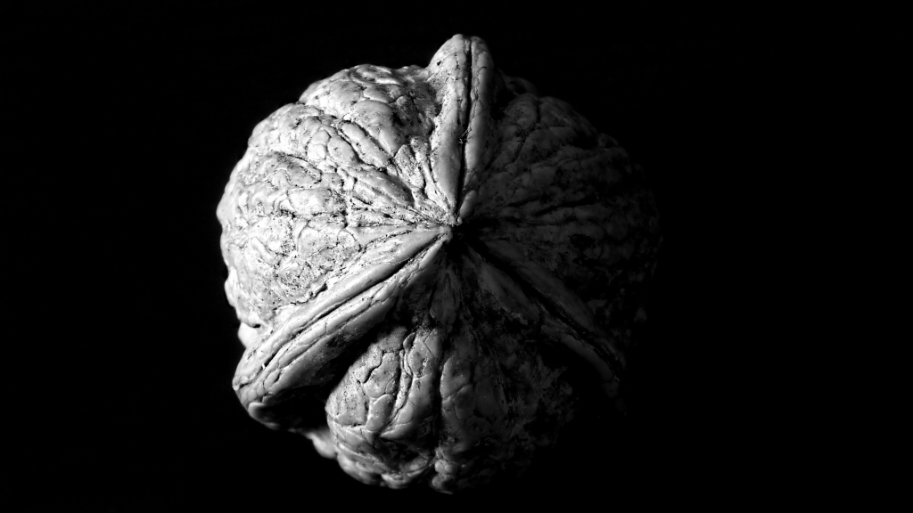 A Singolar Walnut