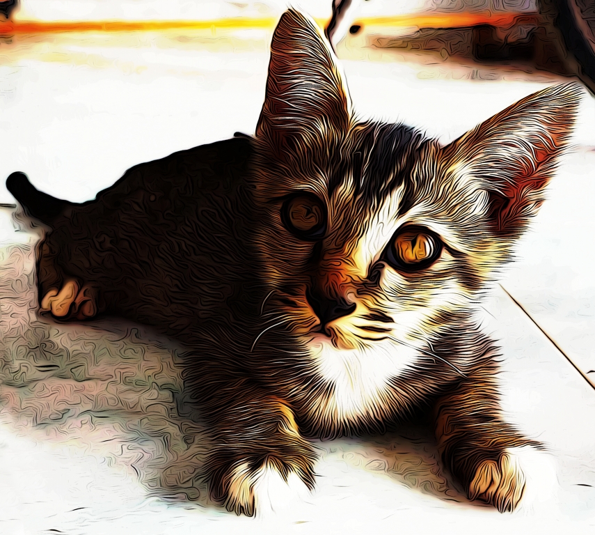 Kitty