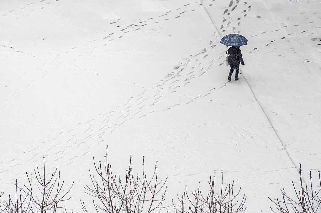 Orme sulla neve