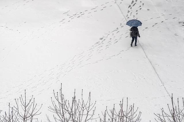 Orme sulla neve