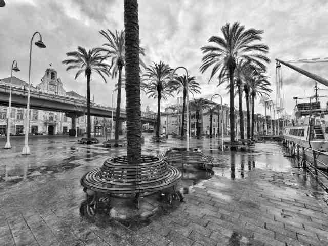 Genova