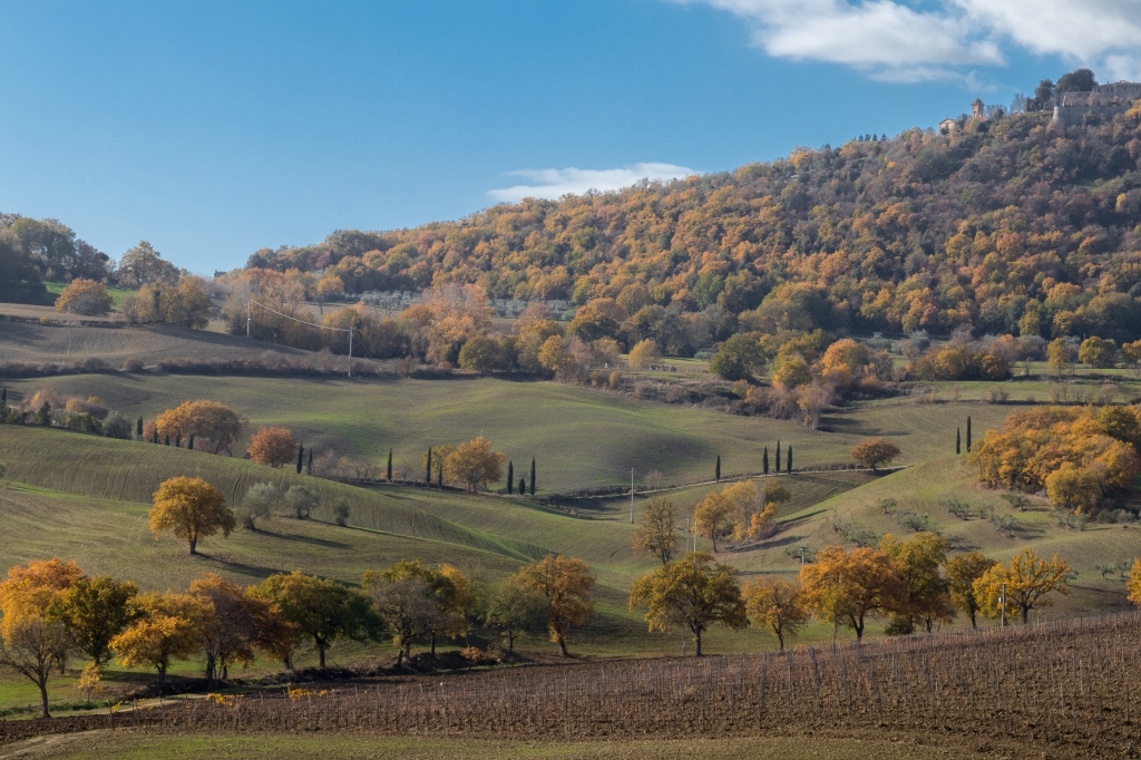 Montefollonico - Val di Chiana ( Siena )