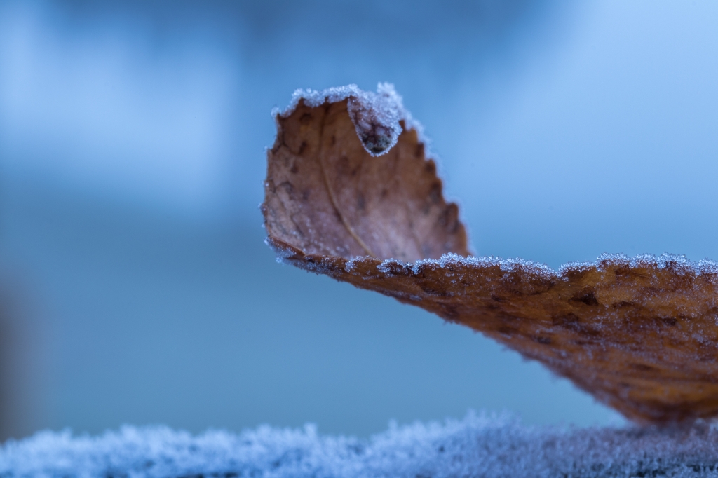 Aspettando l'inverno