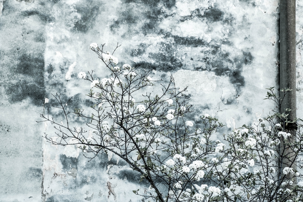 è primavera
