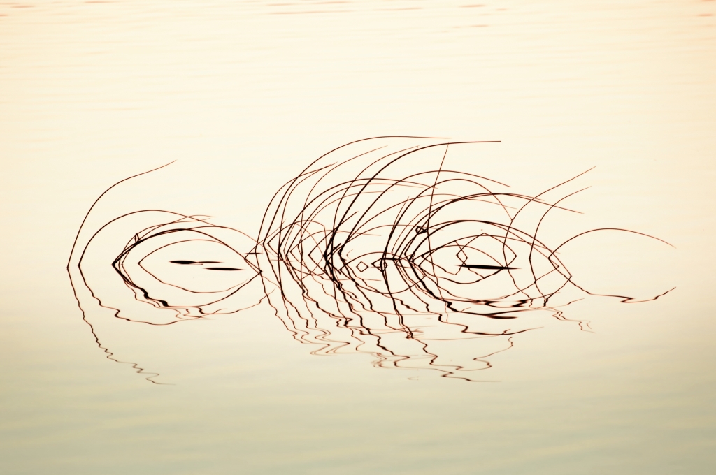 Distorsioni
