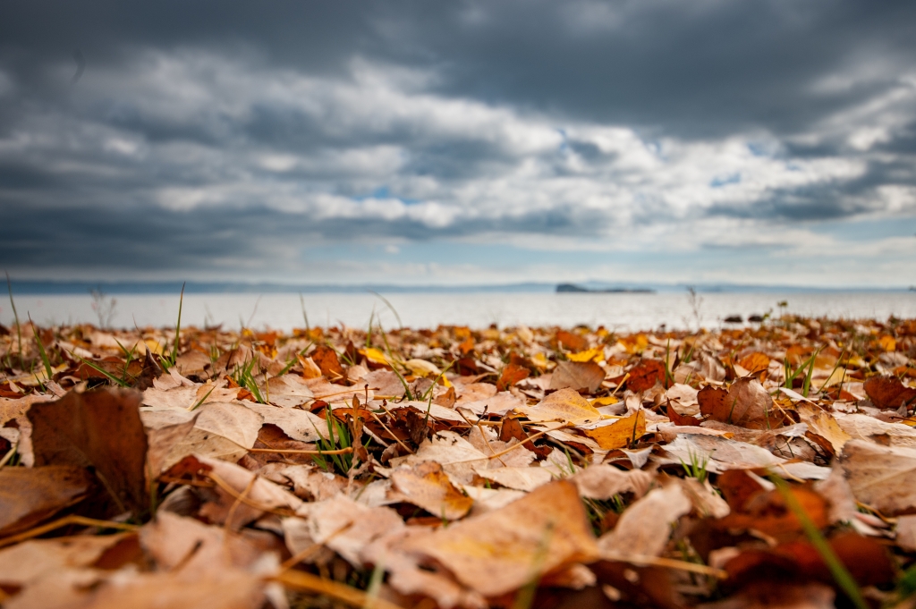 autunno sulla spiaggia del lago