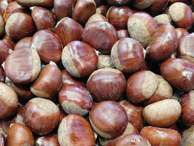 chestnut texture
