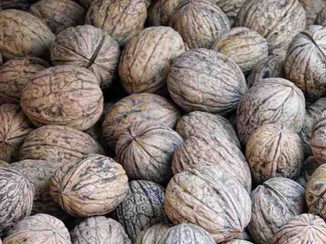 texture of walnuts with shell