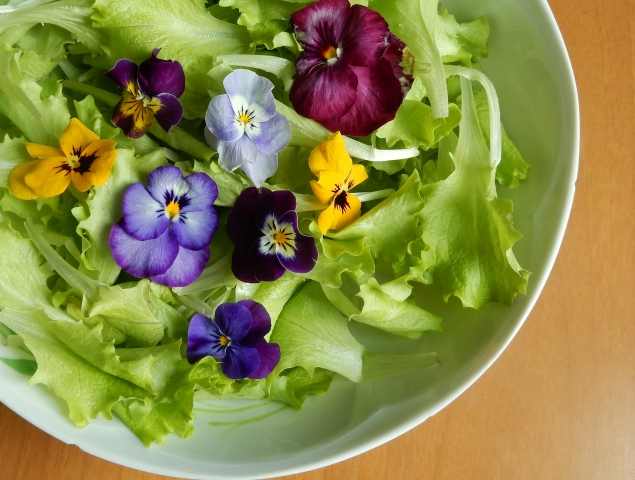 spring salad · graziellataibi