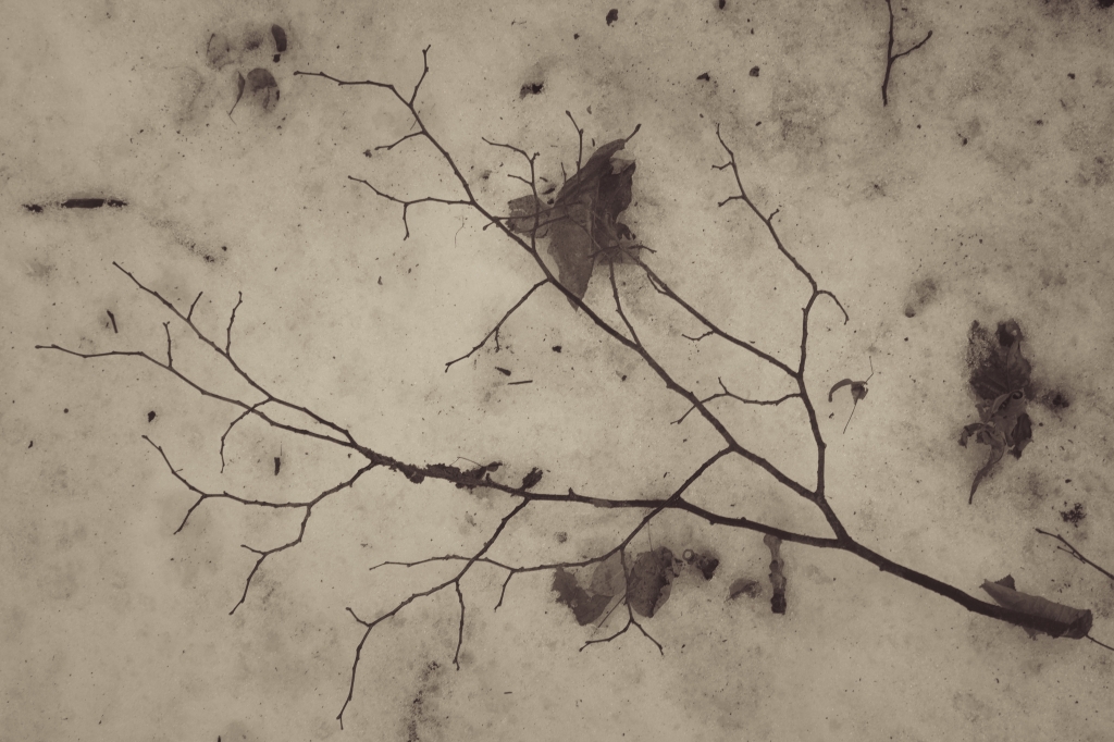 L'inverno