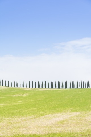 Tuscany landscape