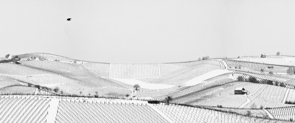 Silent