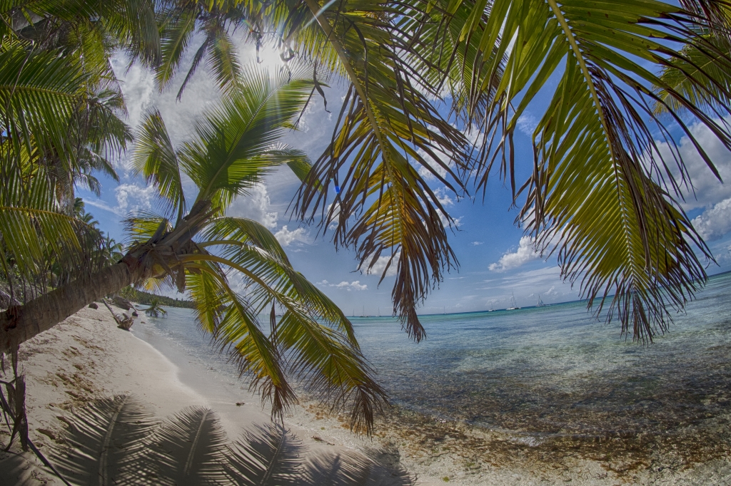 Saona island