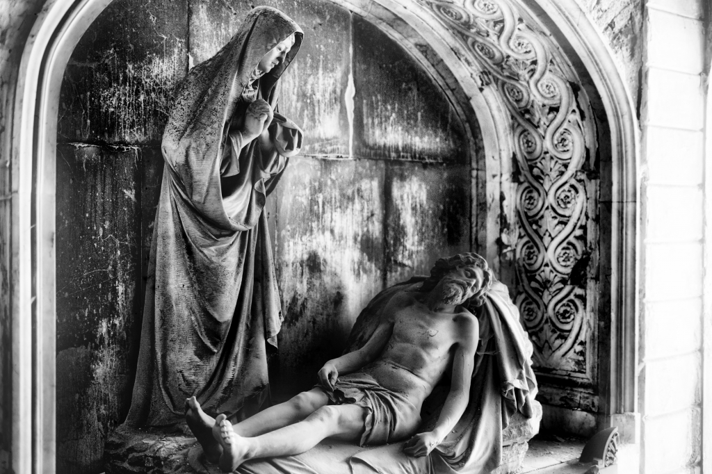 Cristo contemplato