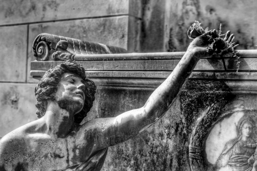 Un fiore nella mano