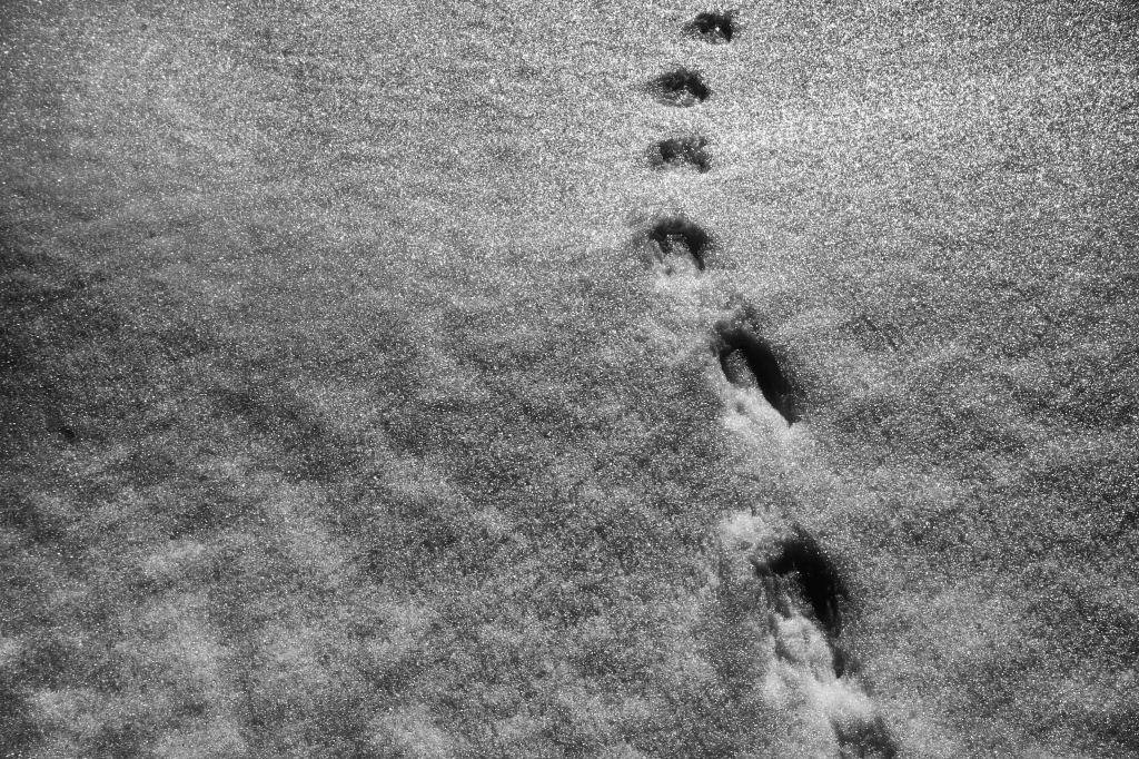 Tracce nella neve di sconosciuti 02