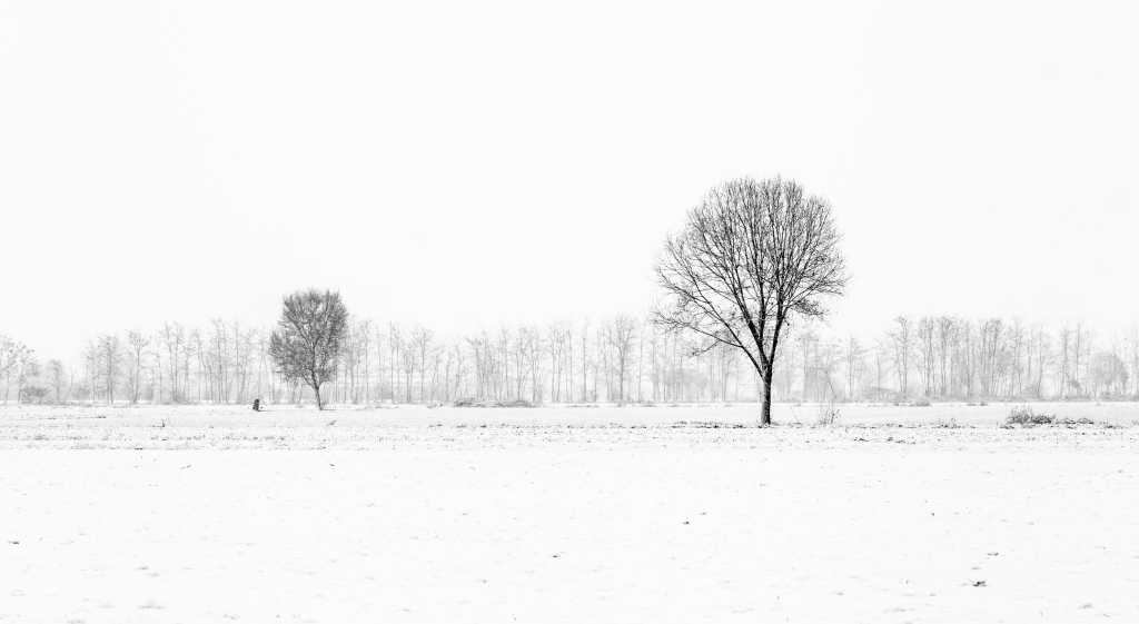 Campagna torinese