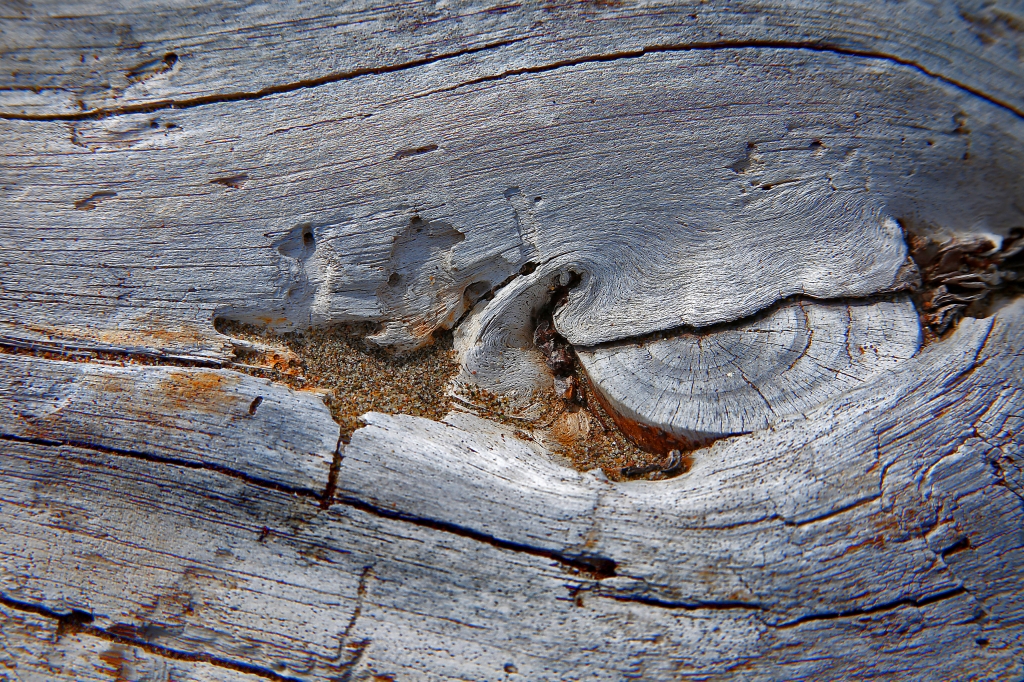 Le linee del legno 9