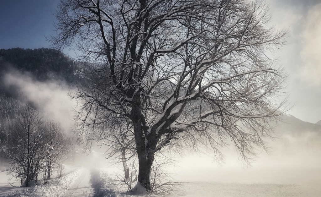 Inverno piemontese..
