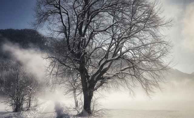 Inverno piemontese..
