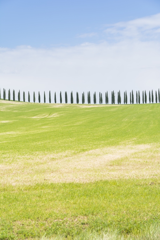 Tuscany landscape