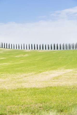 Tuscany landscape